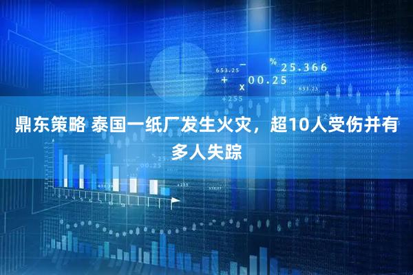 鼎东策略 泰国一纸厂发生火灾，超10人受伤并有多人失踪