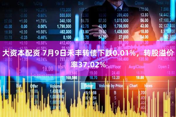 大资本配资 7月9日禾丰转债下跌0.01%，转股溢价率37.02%