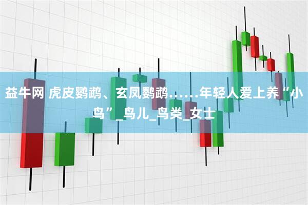 益牛网 虎皮鹦鹉、玄凤鹦鹉……年轻人爱上养“小鸟”_鸟儿_鸟类_女士