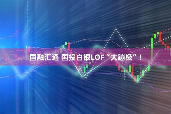 国融汇通 国投白银LOF“大蹦极”!